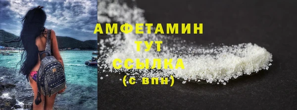 дурь Няндома