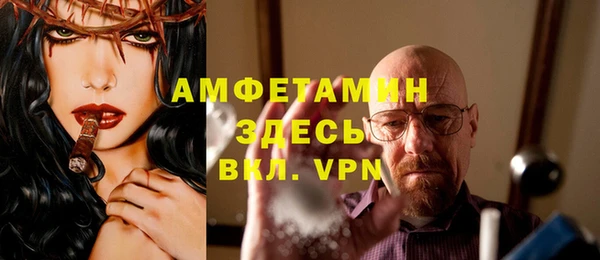 дурь Няндома