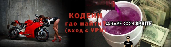 дурь Няндома