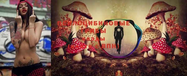 дурь Няндома