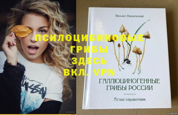 мяу мяу мука Нязепетровск