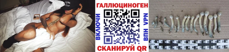 Псилоцибиновые грибы Psilocybe Сергач
